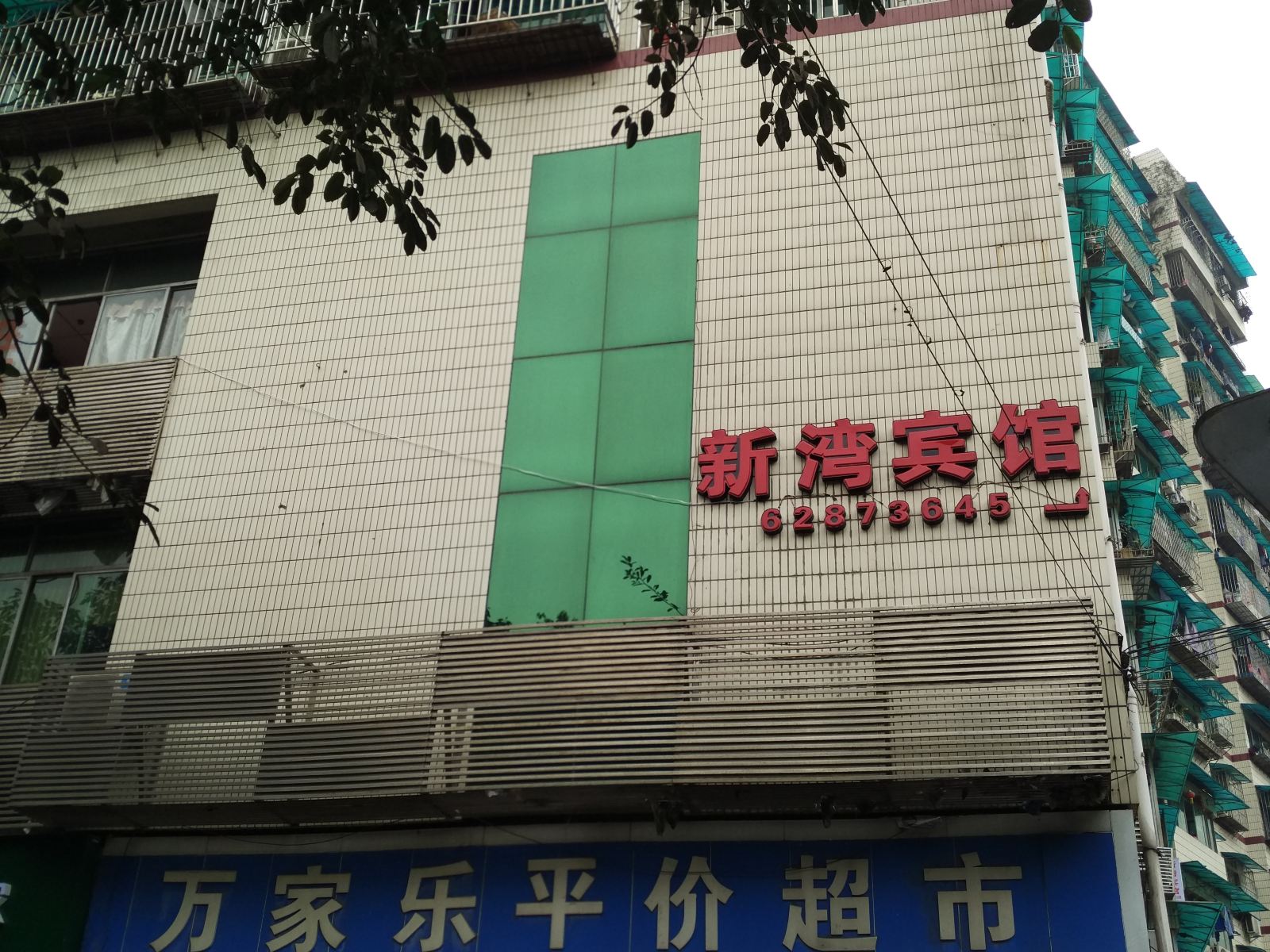 外观