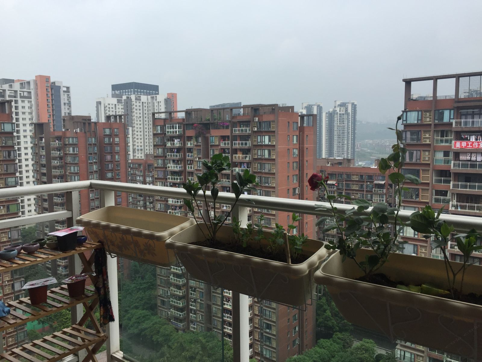 重庆驴在乐途青年旅舍