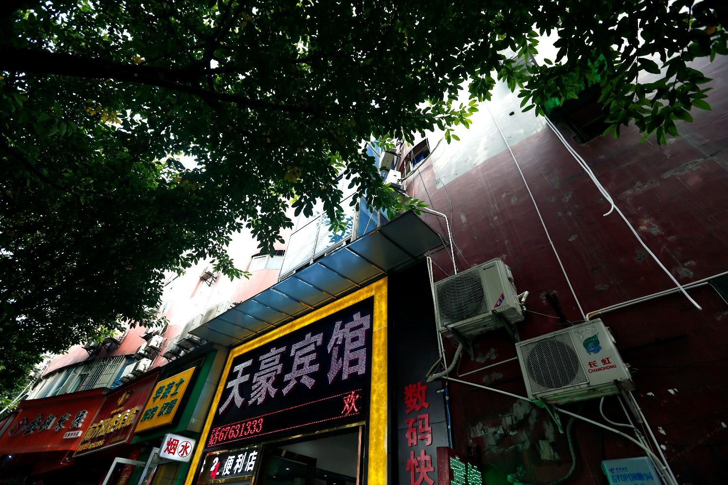 外观