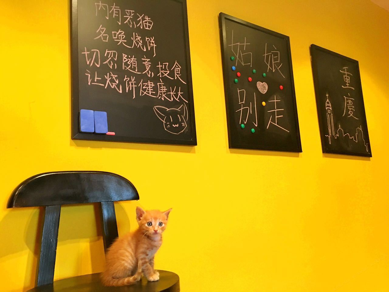 公共区域