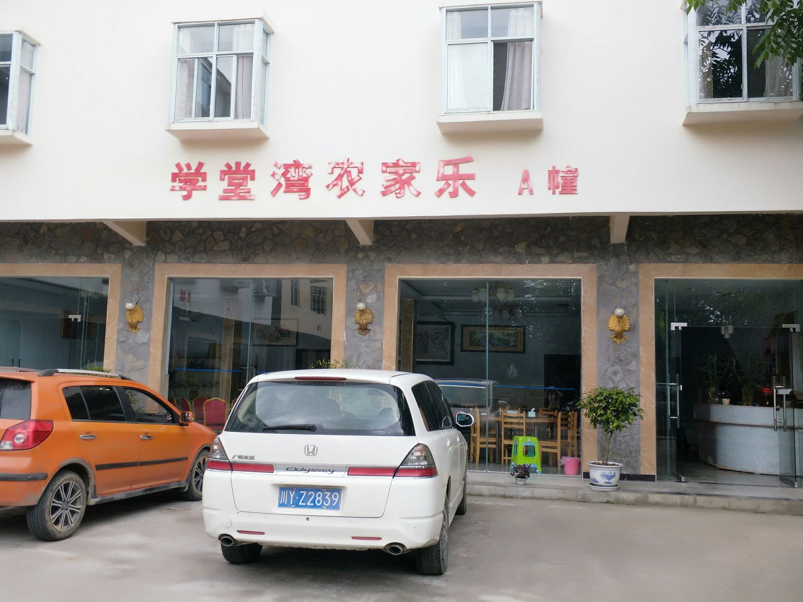 外观