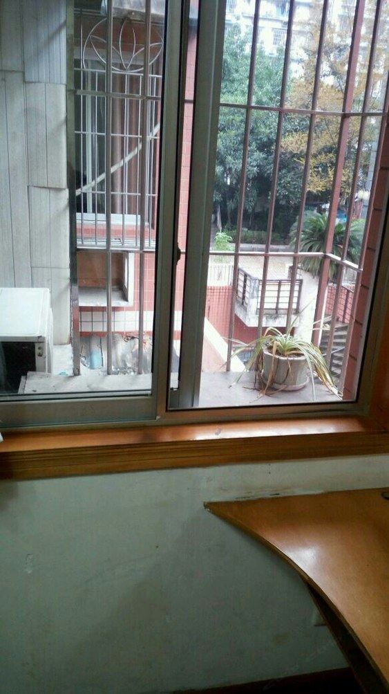 重庆胖丁1161公寓(2号店)