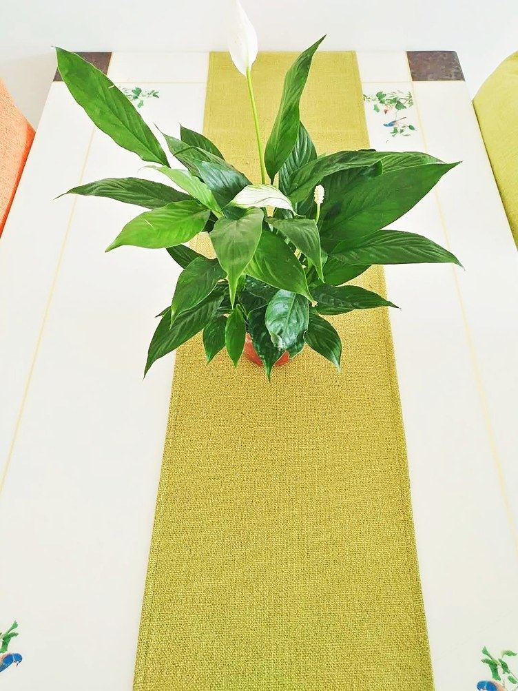 重庆私企老板ABei公寓(3号店)