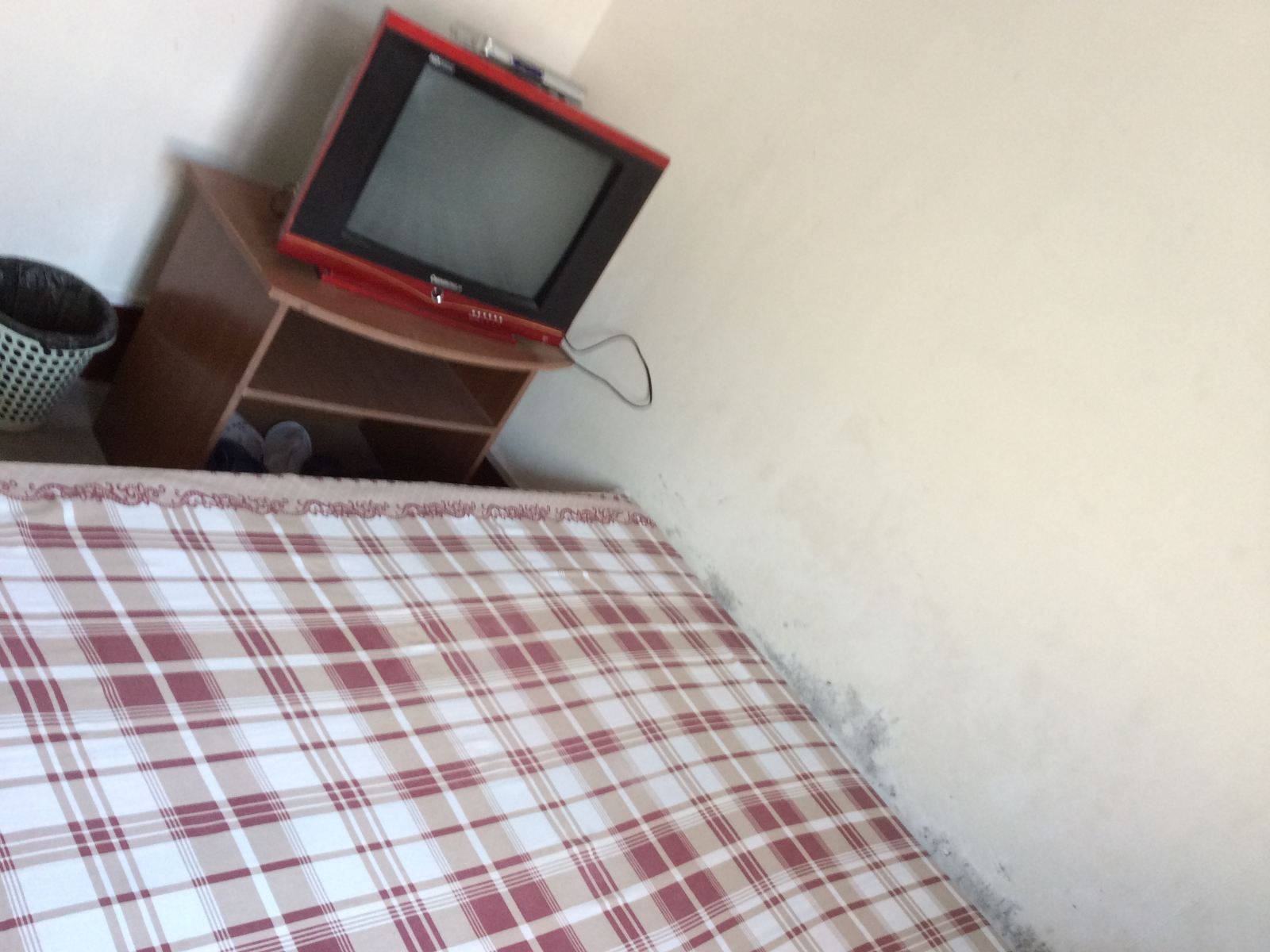 大床房