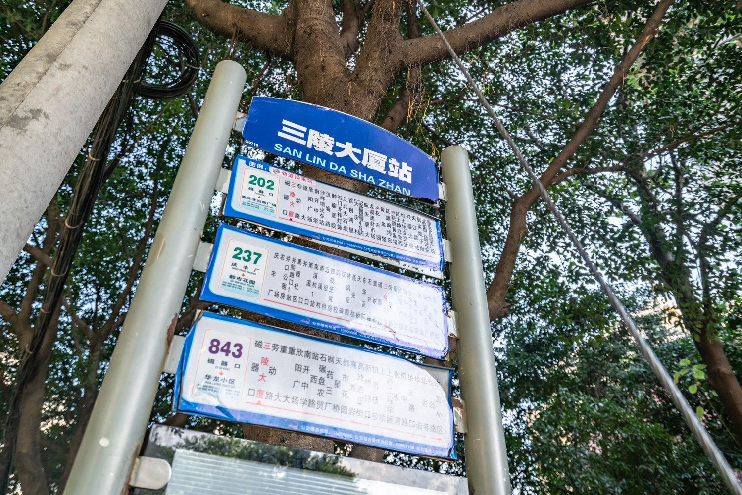 其他