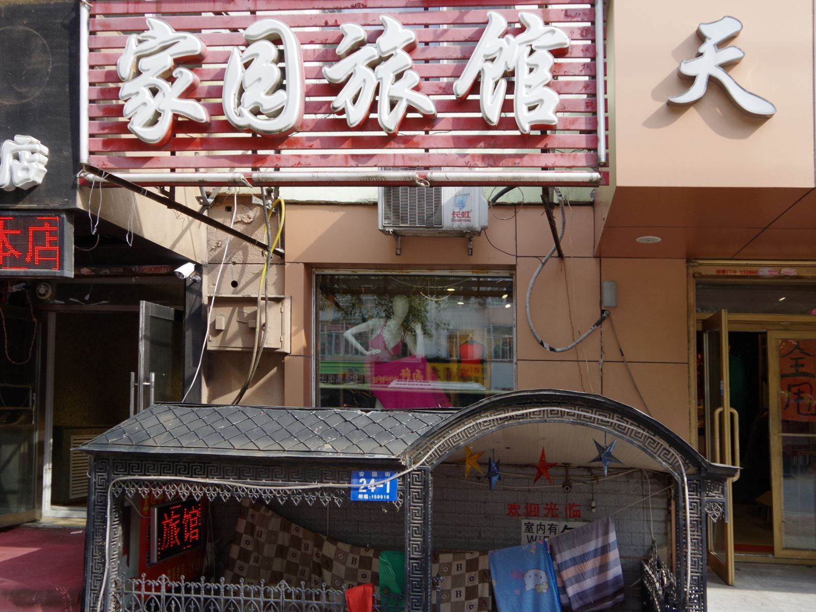 外观
