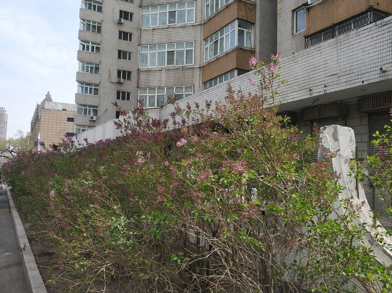 辛老师公寓