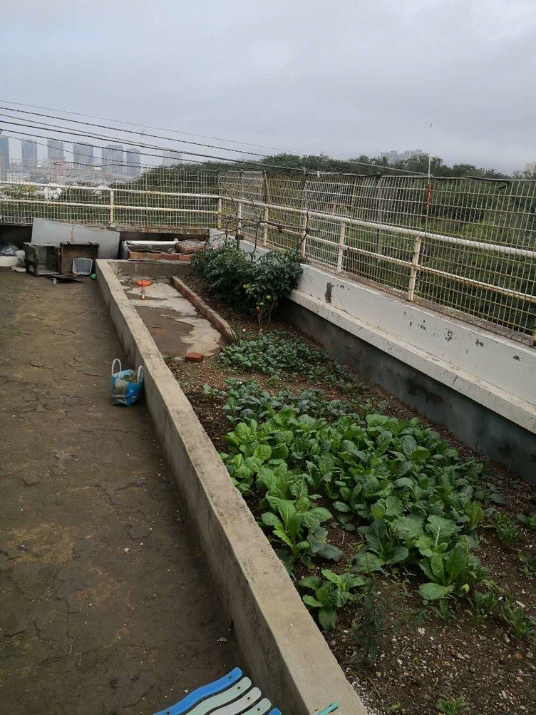 大连乔爸爸公寓