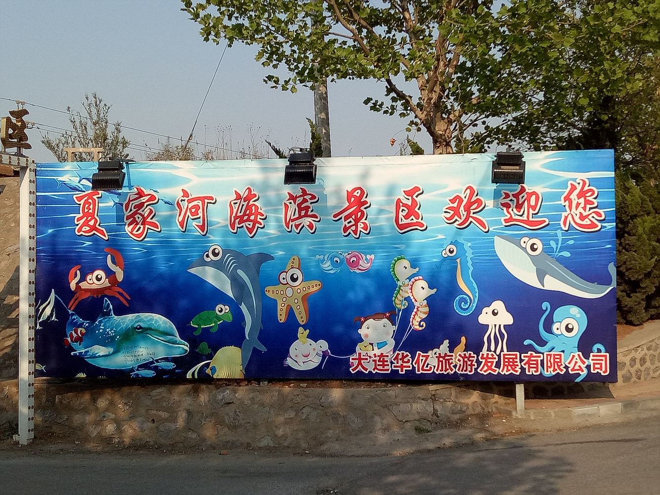 其他