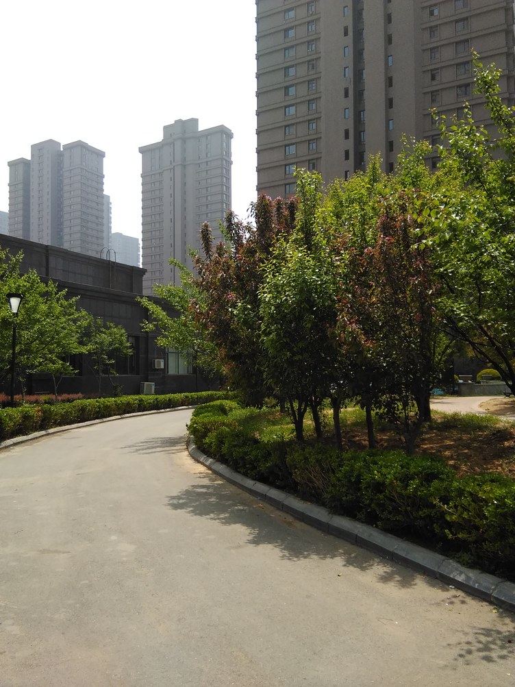 大连彦彦公寓(5号店)