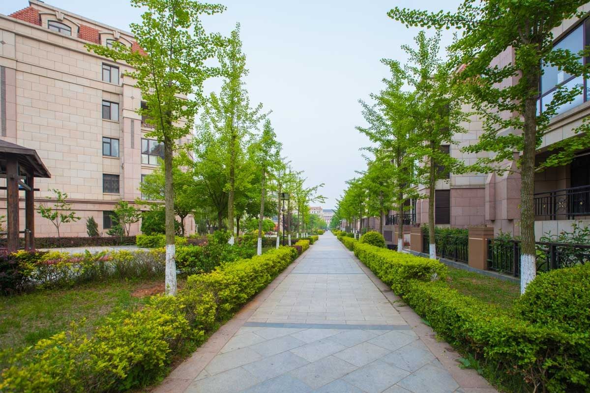 路客精品民宿BF9110