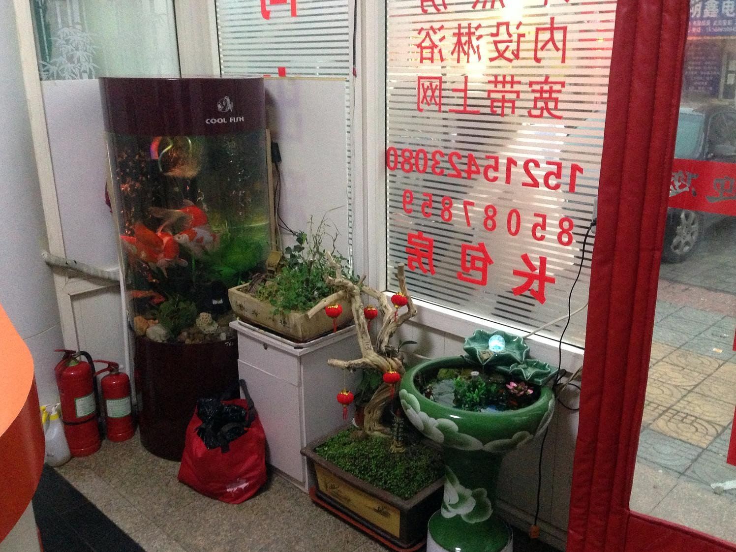 公共区域