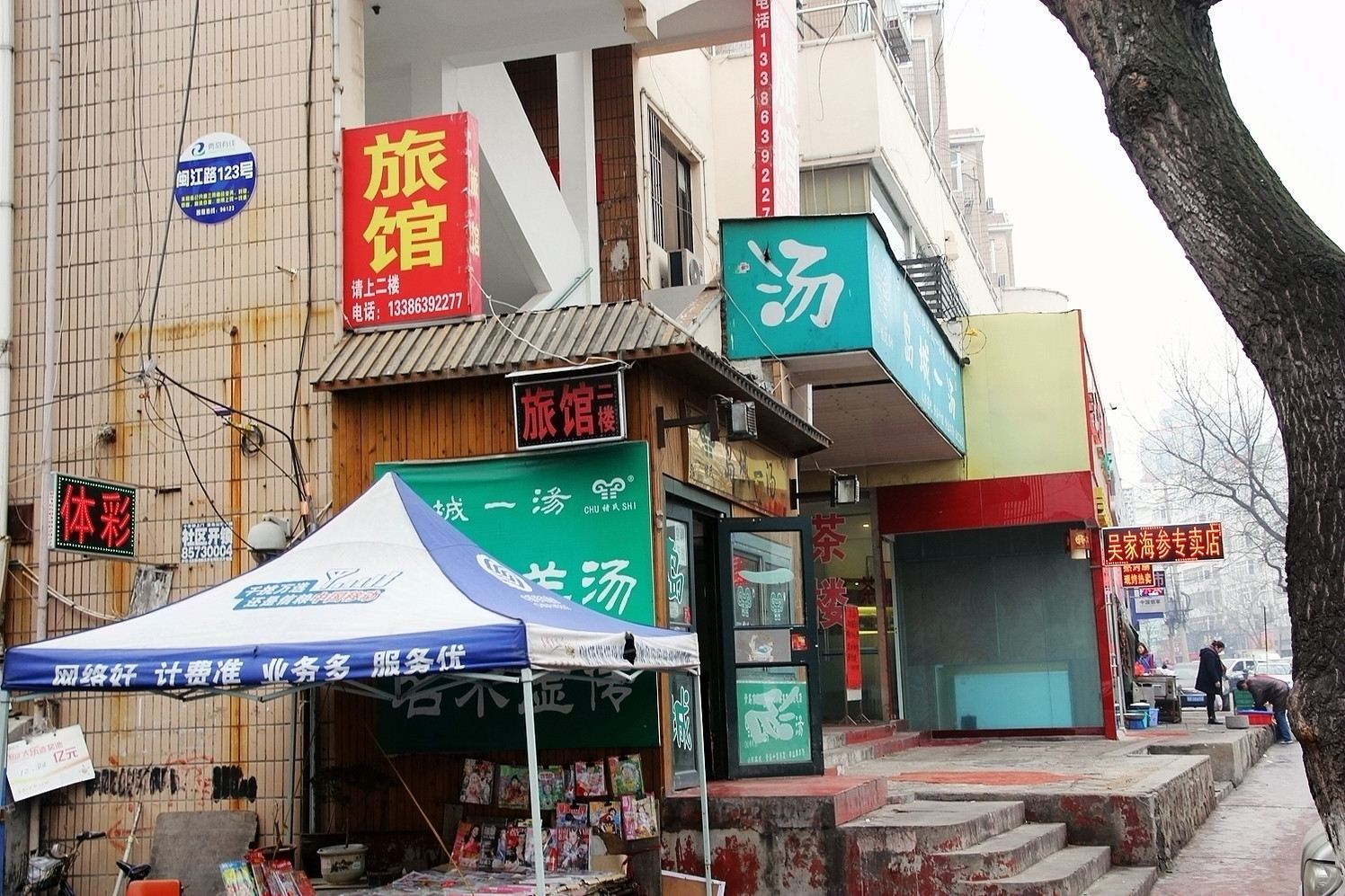 外观