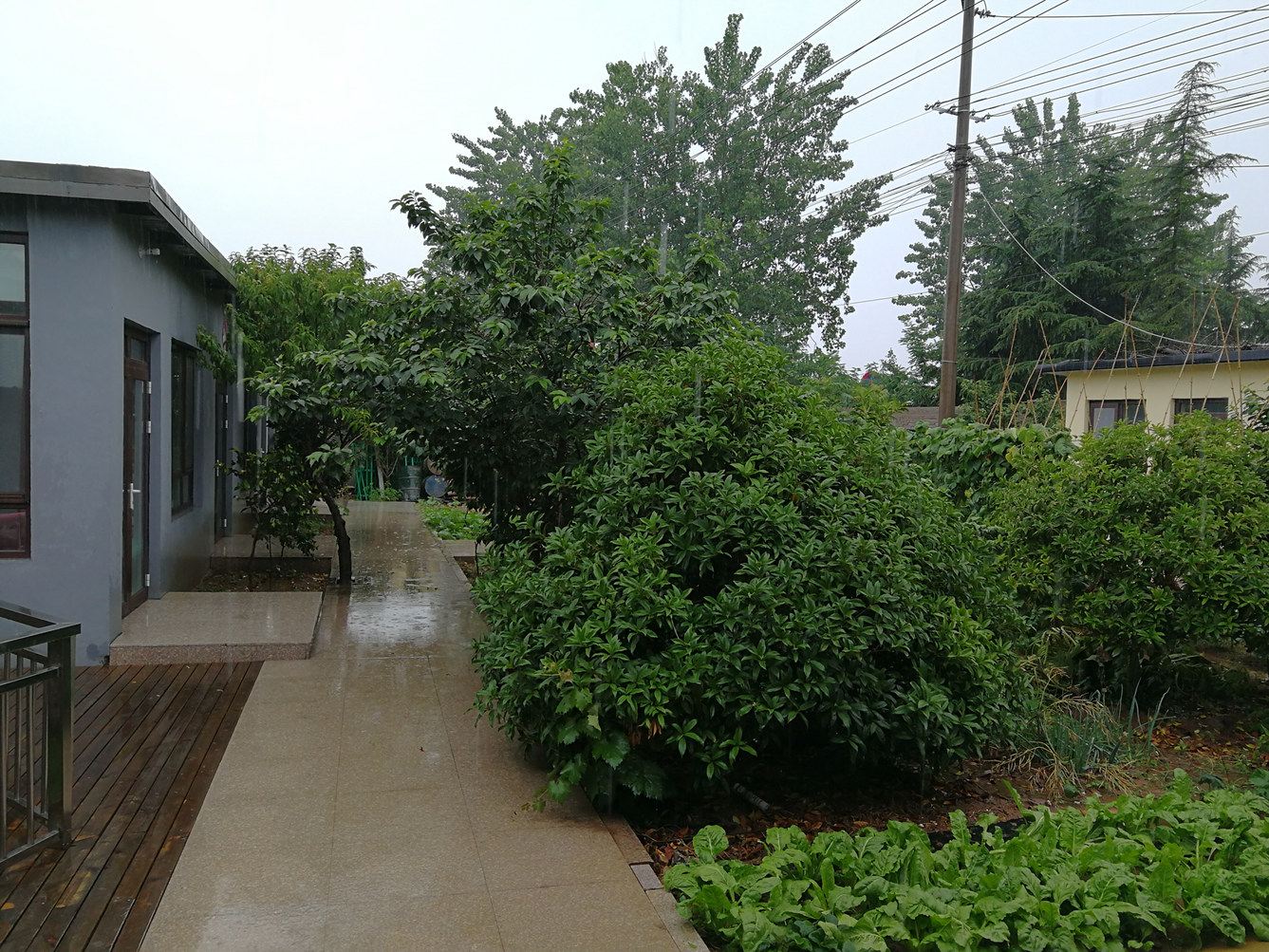 青岛山前小居民宿(交运路店)