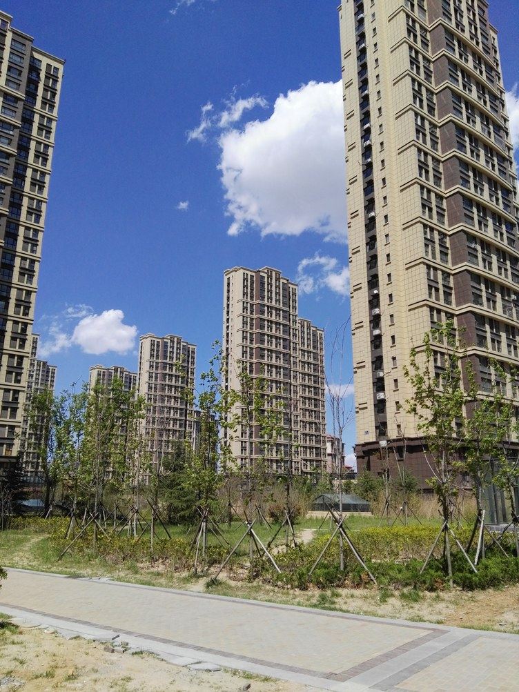 青岛卢敬龙公寓