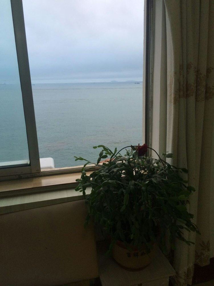 青岛八大关第一海水浴场等中心区域套二厅公寓(鱼山路分店)