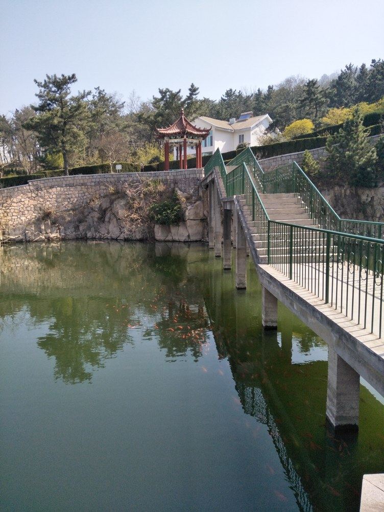 青岛简约民宿