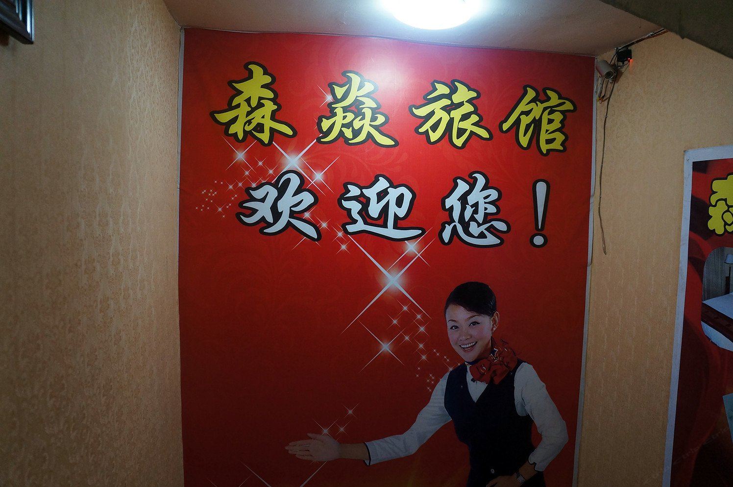 其他