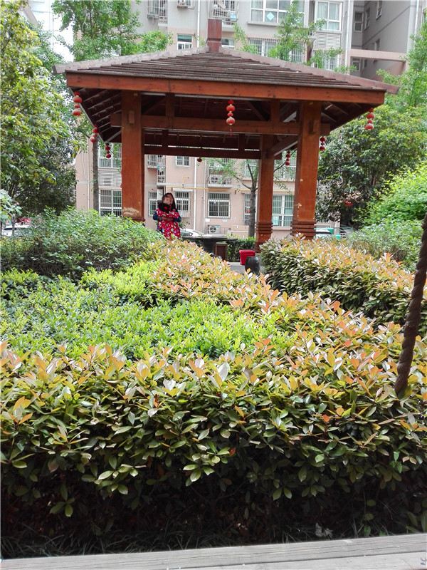 西安小寨缘来是家青年旅舍