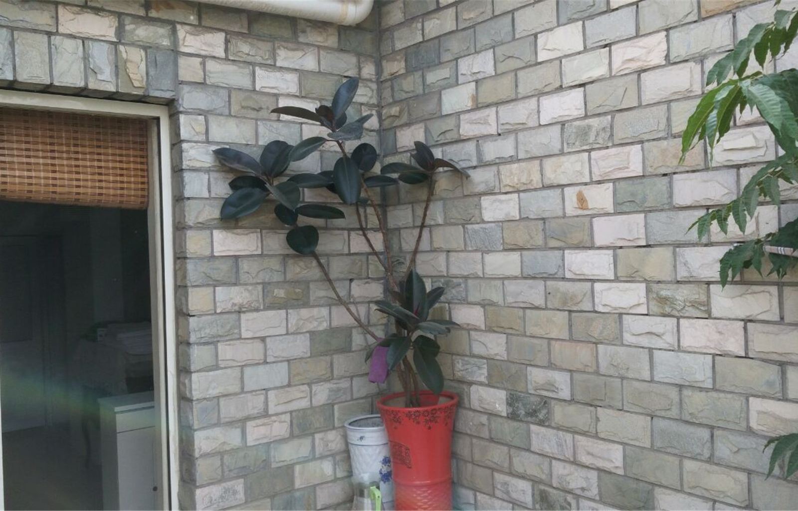 三人间