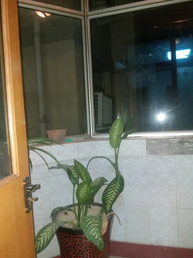 温馨三室二厅套房