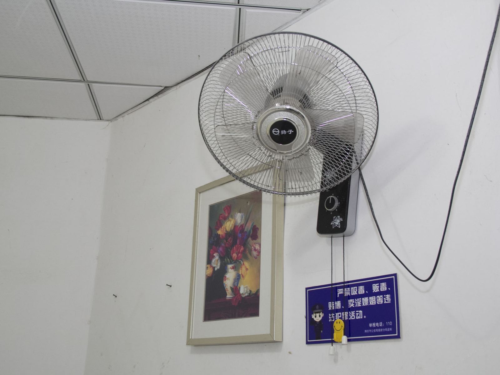 普通大床房