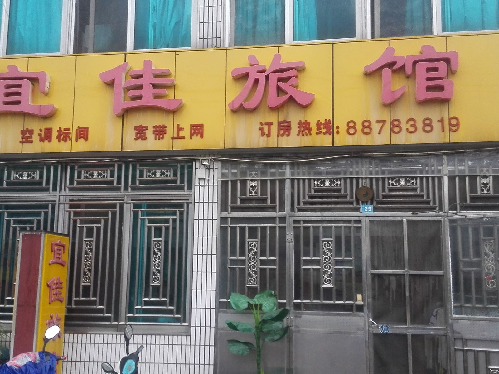 外观