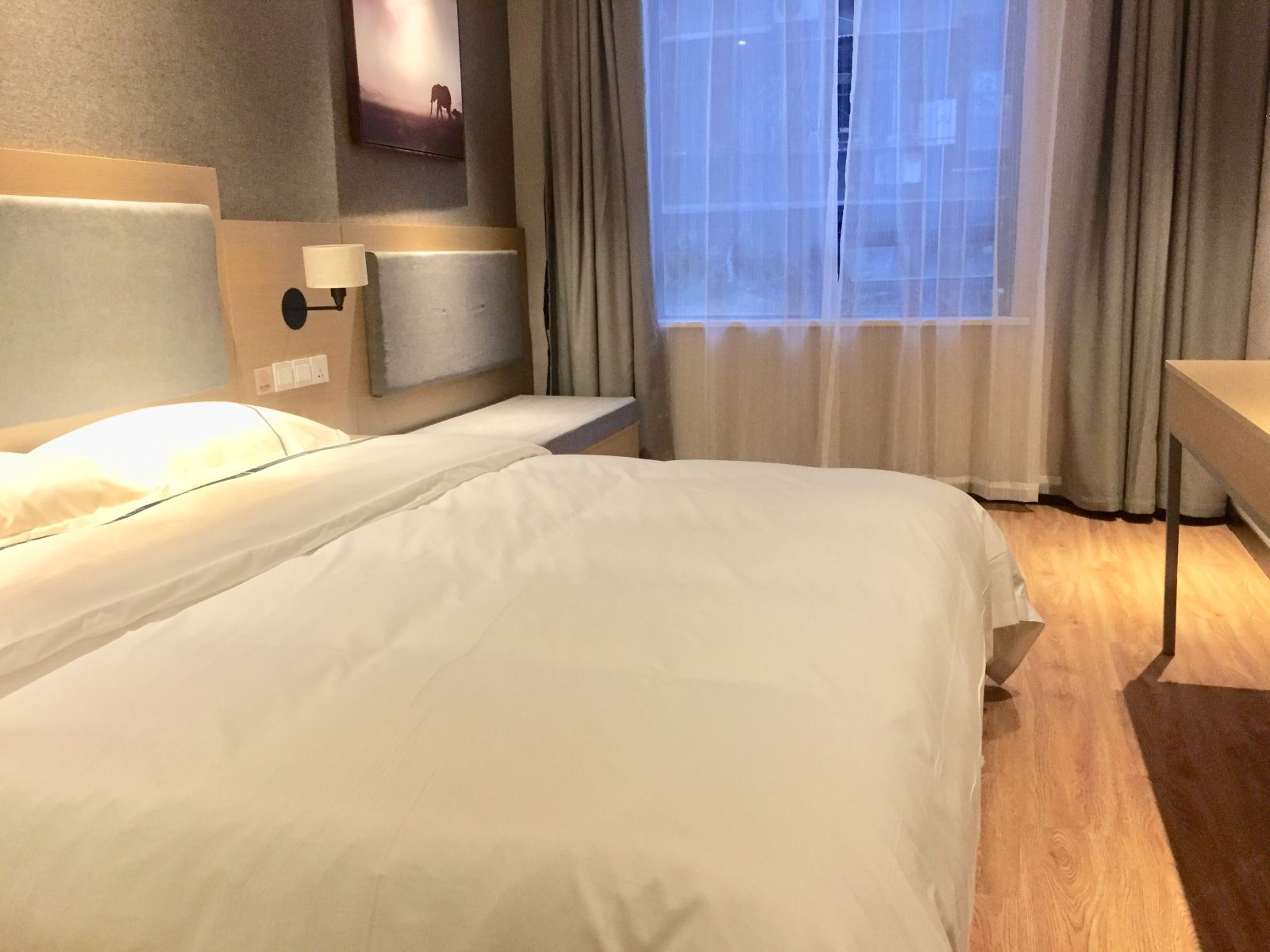 商务大床房