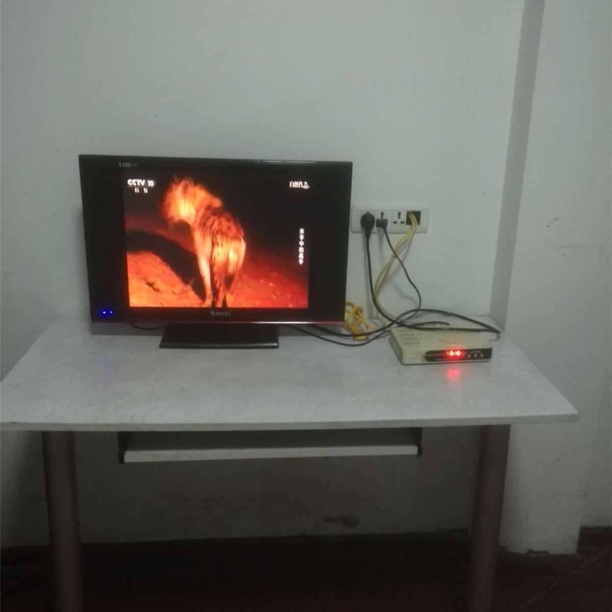 标准双床房