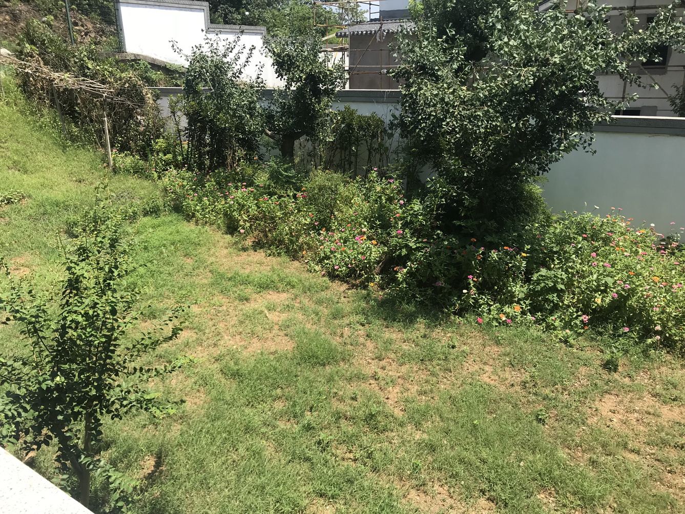 苏州憨豆度假别墅