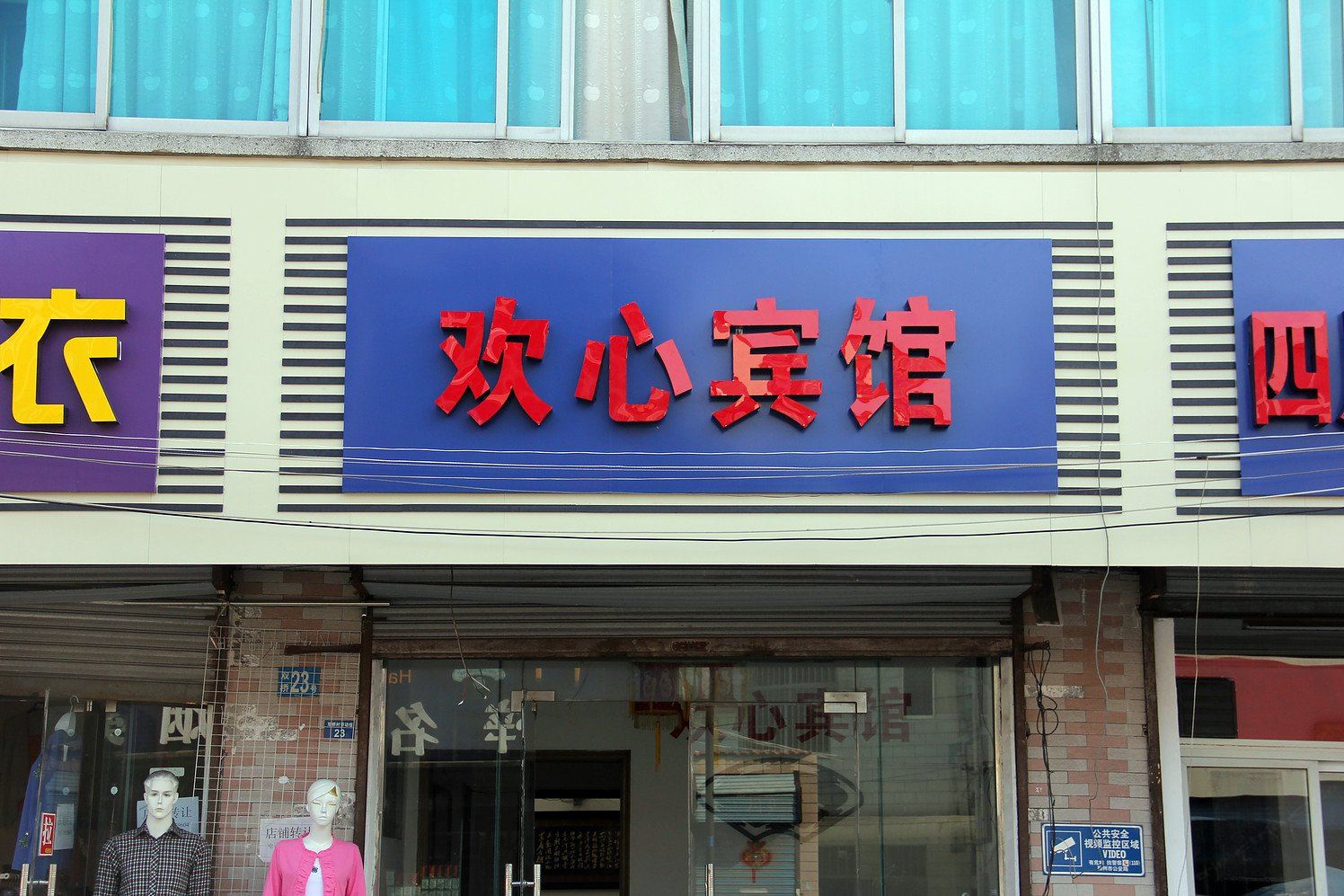 外观