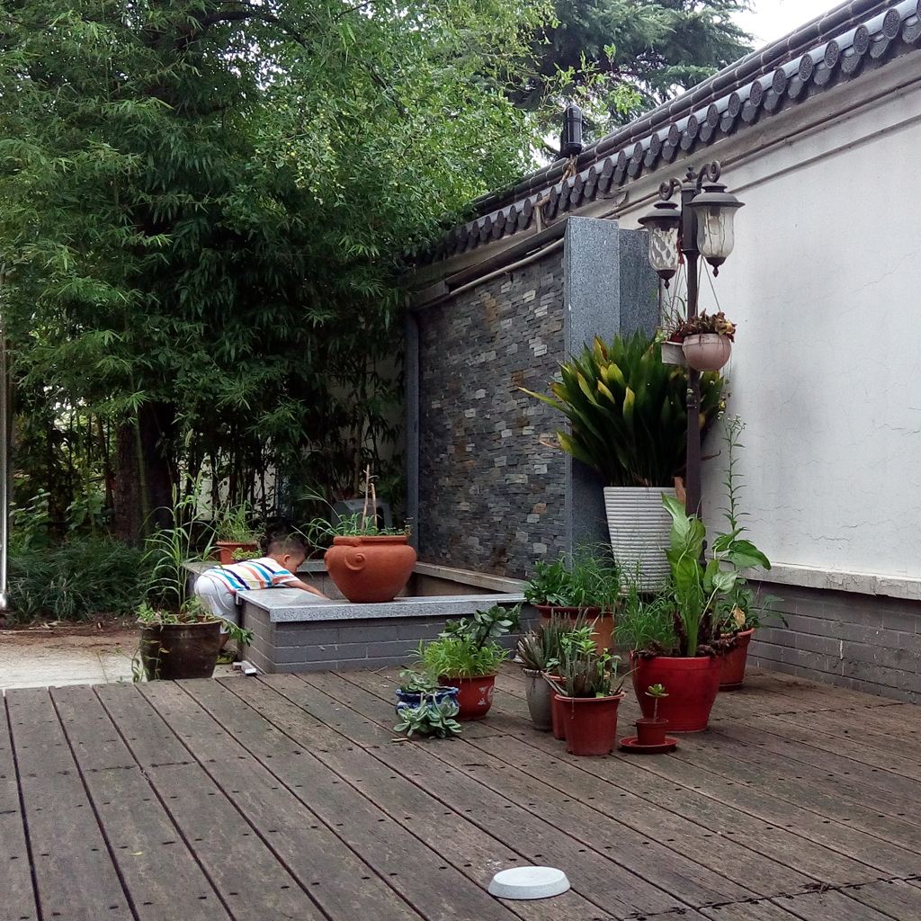 公共区域