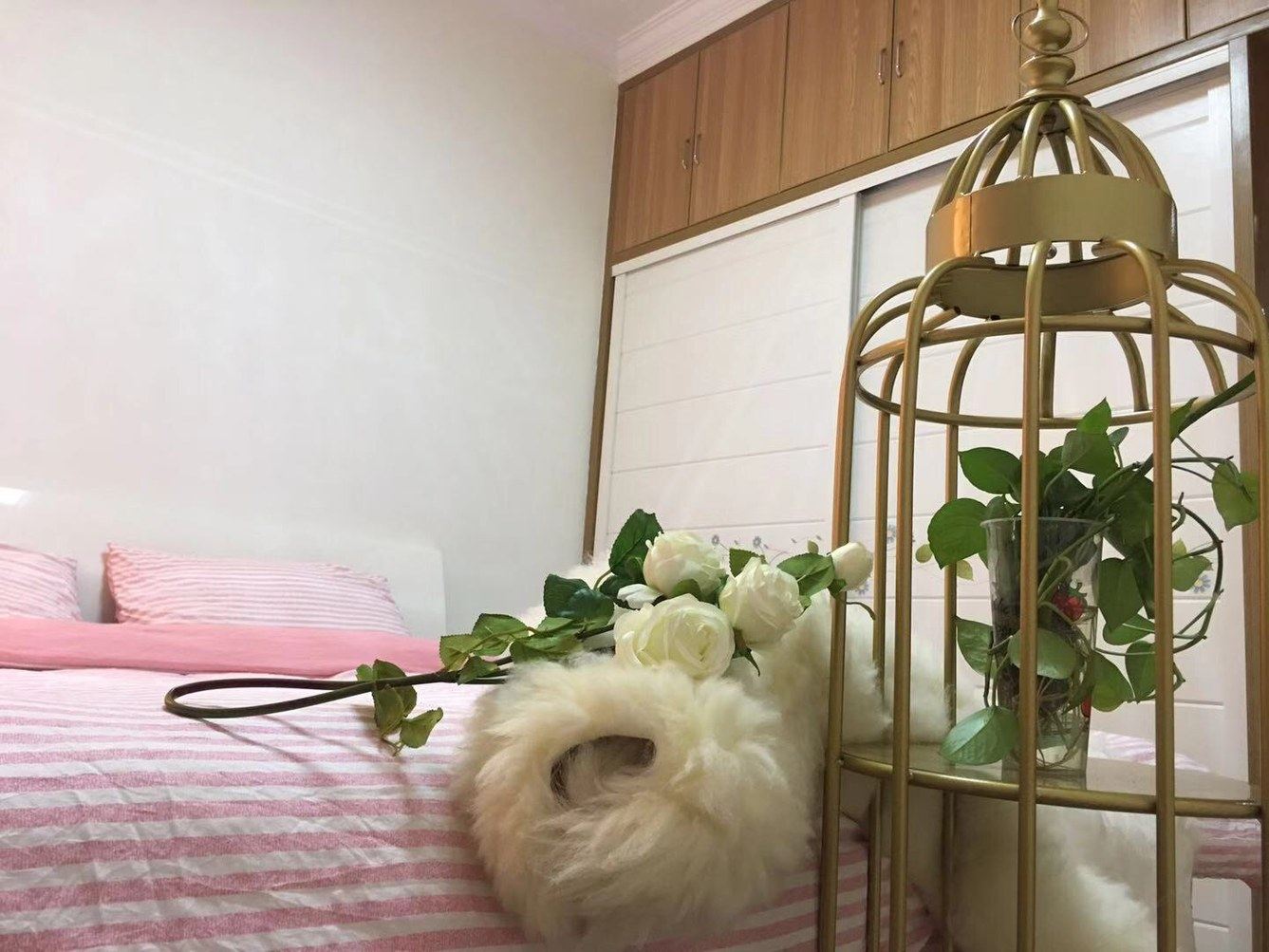 豆蔻二室二厅套房