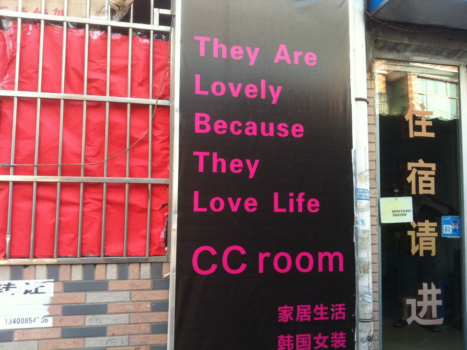 外观