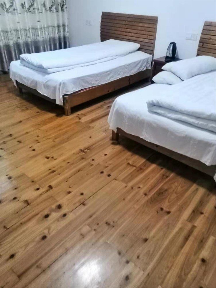 舒适标准间