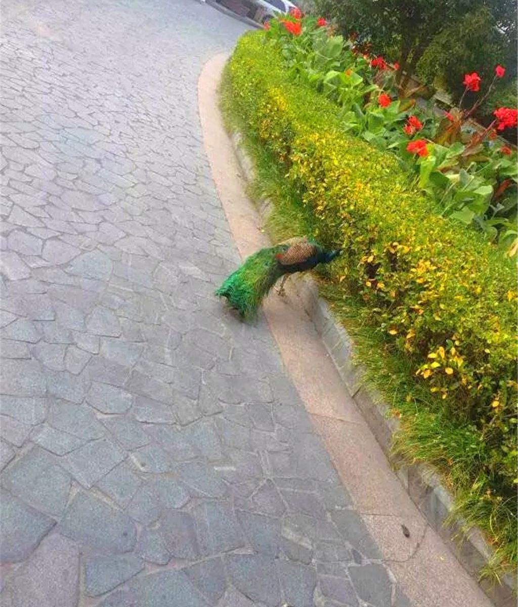 淳安幸福里湖景度假别墅
