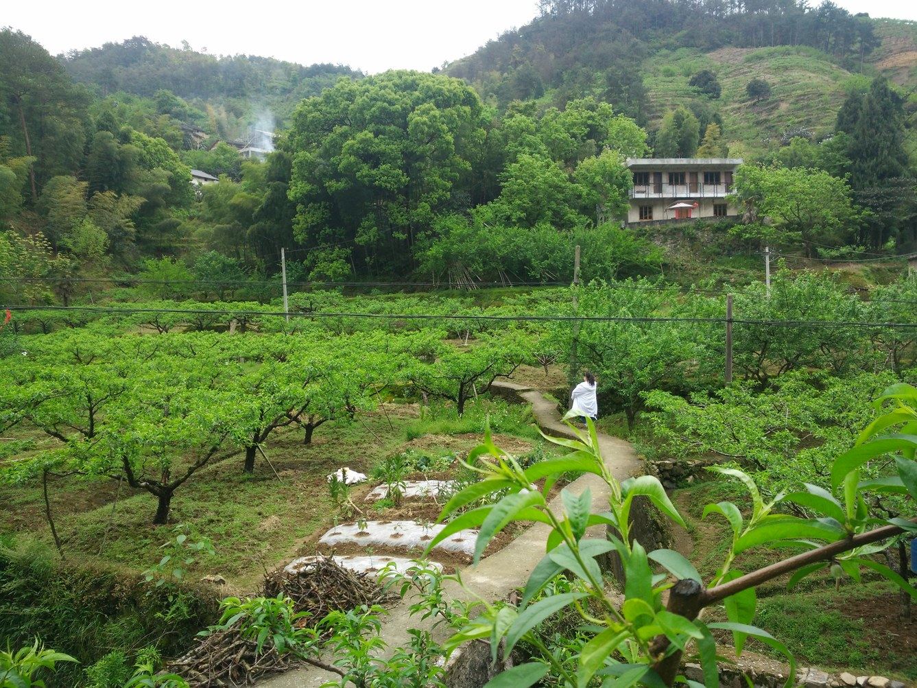 千岛湖青溪山居永坪客栈