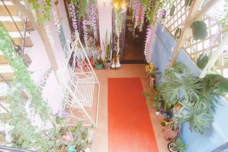 厦门鼓浪屿花与叶旅馆(原爱丽丝花园店)