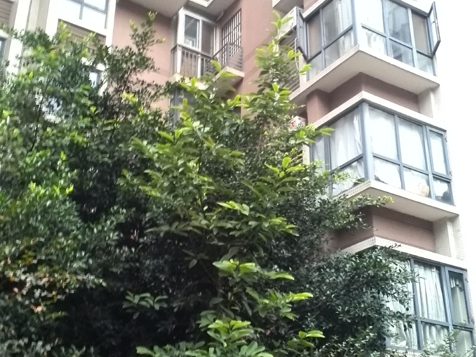 成都和谐酒店公寓