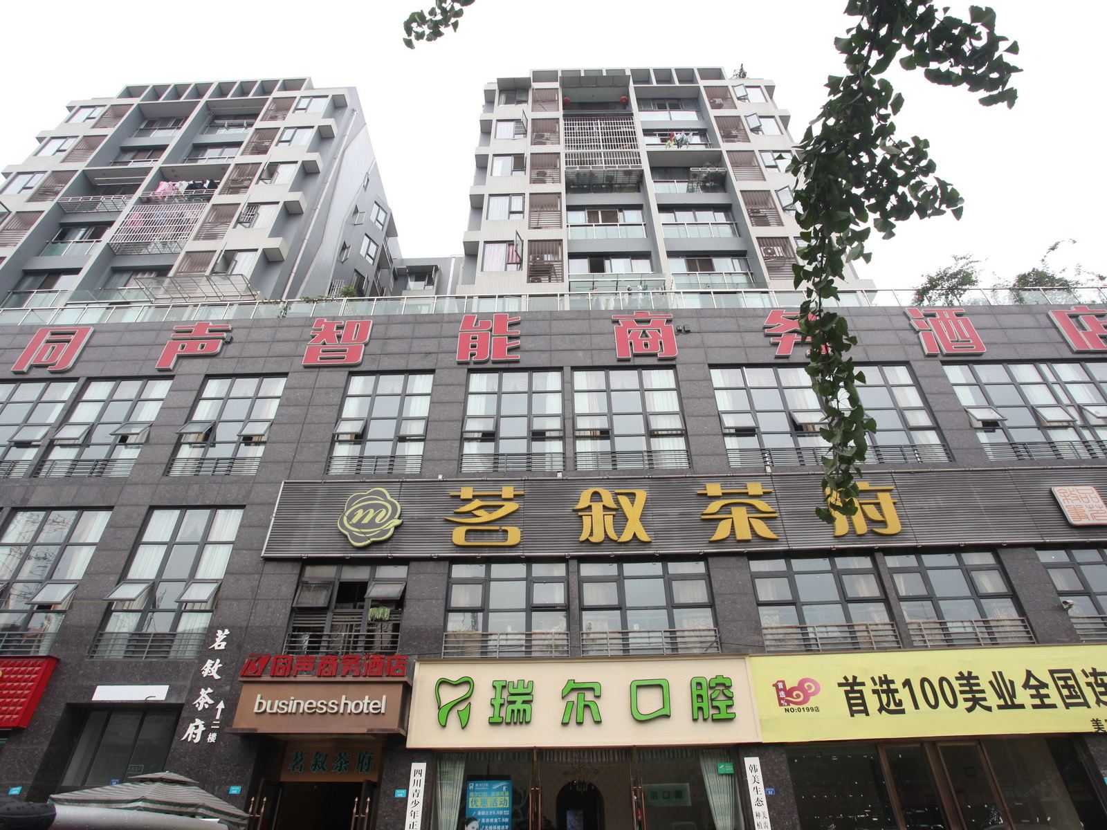 外观