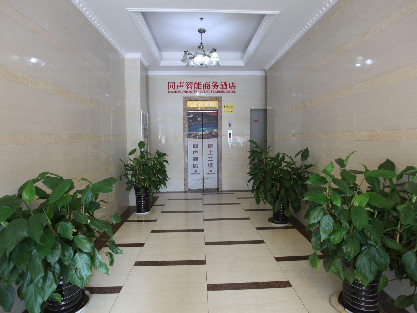 公共区域