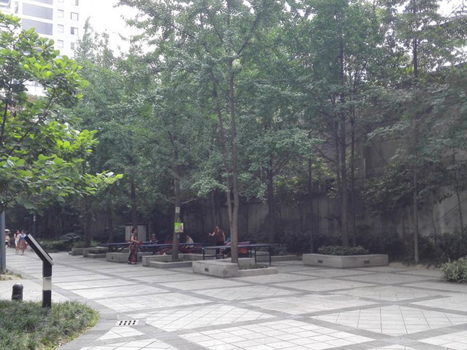 公共区域