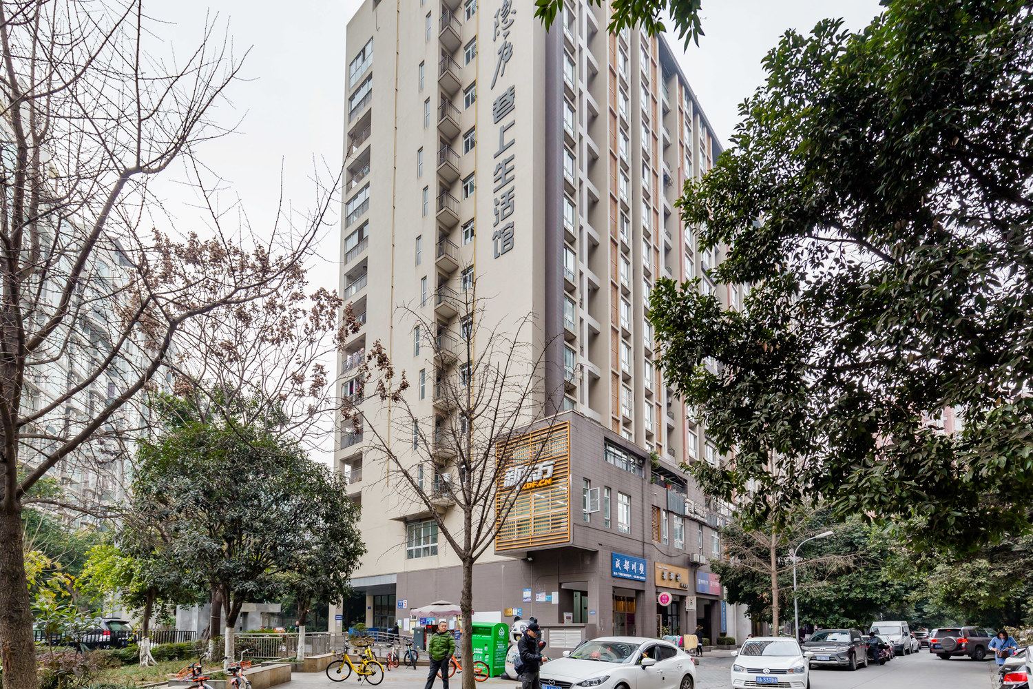 外观