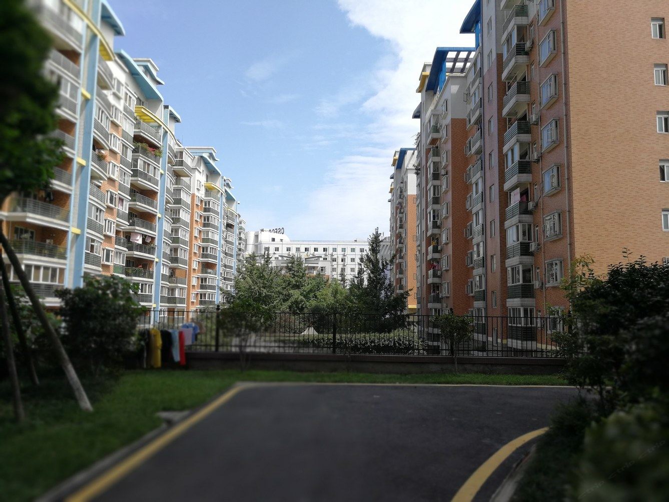 成都青柠情侣小屋