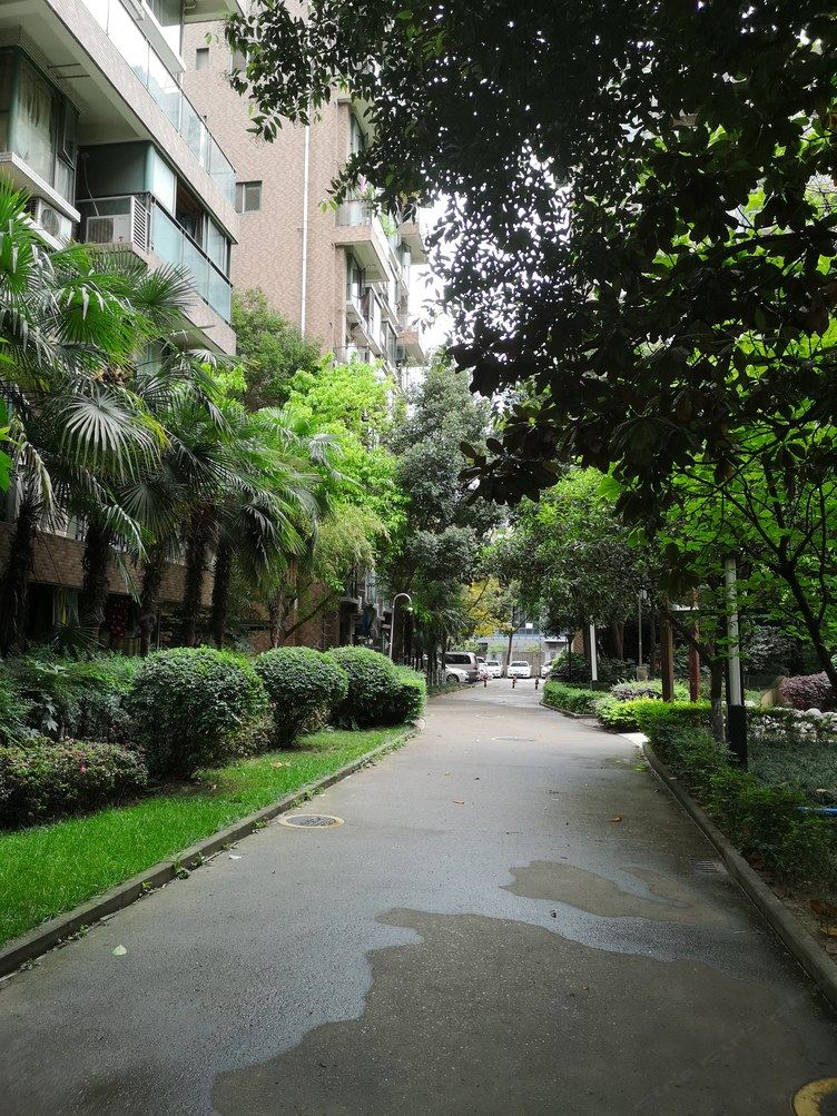 成都张老师同学复式