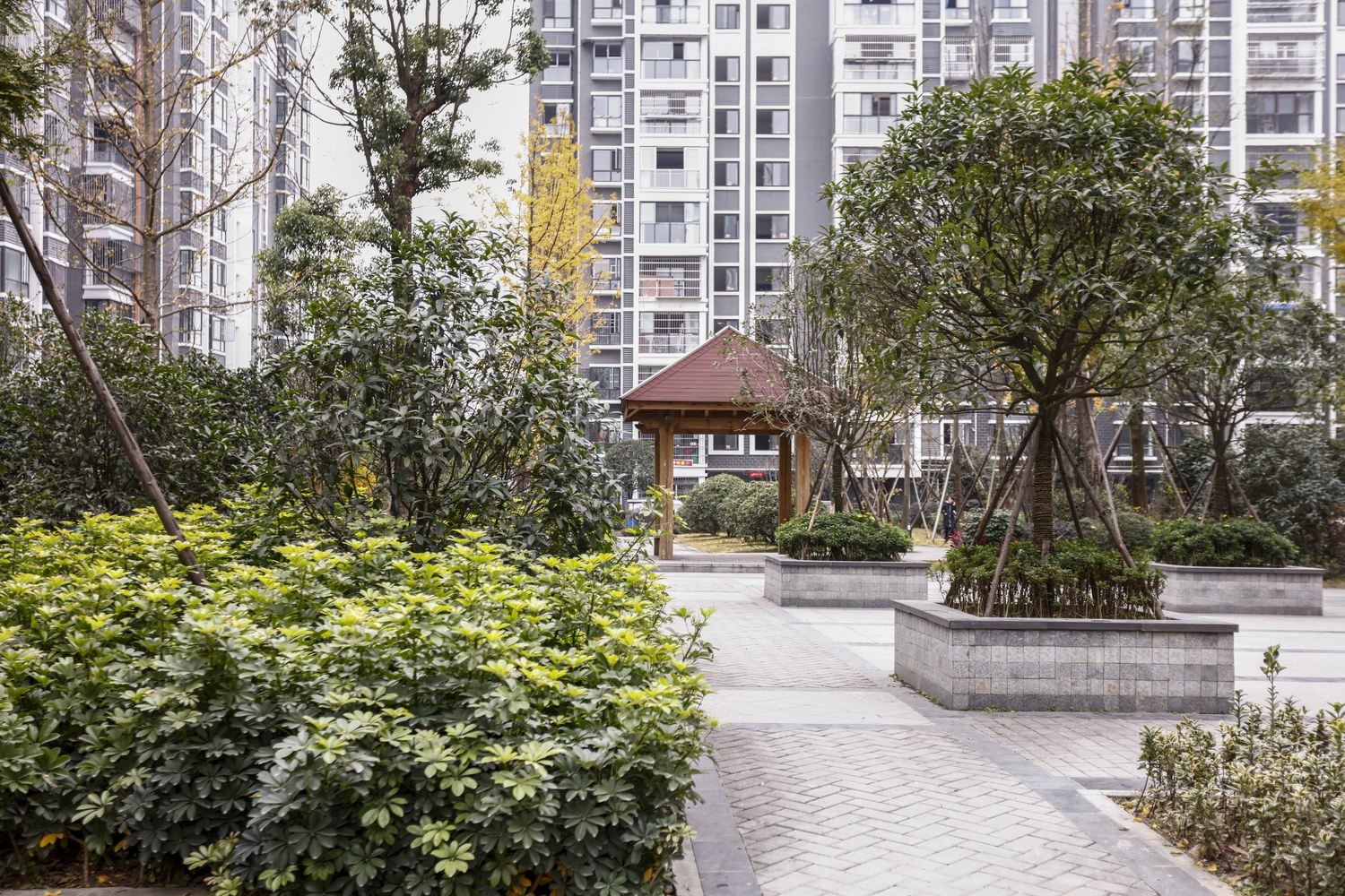 成都熊熊的猫特色民宿(致强路分店)