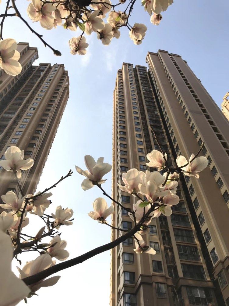 成都港湾民宿