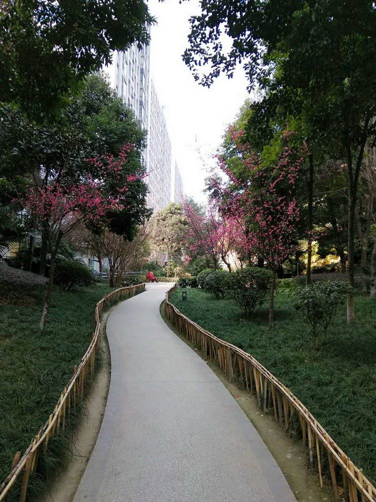 成都公主的骑士公寓(长江路三段分店)