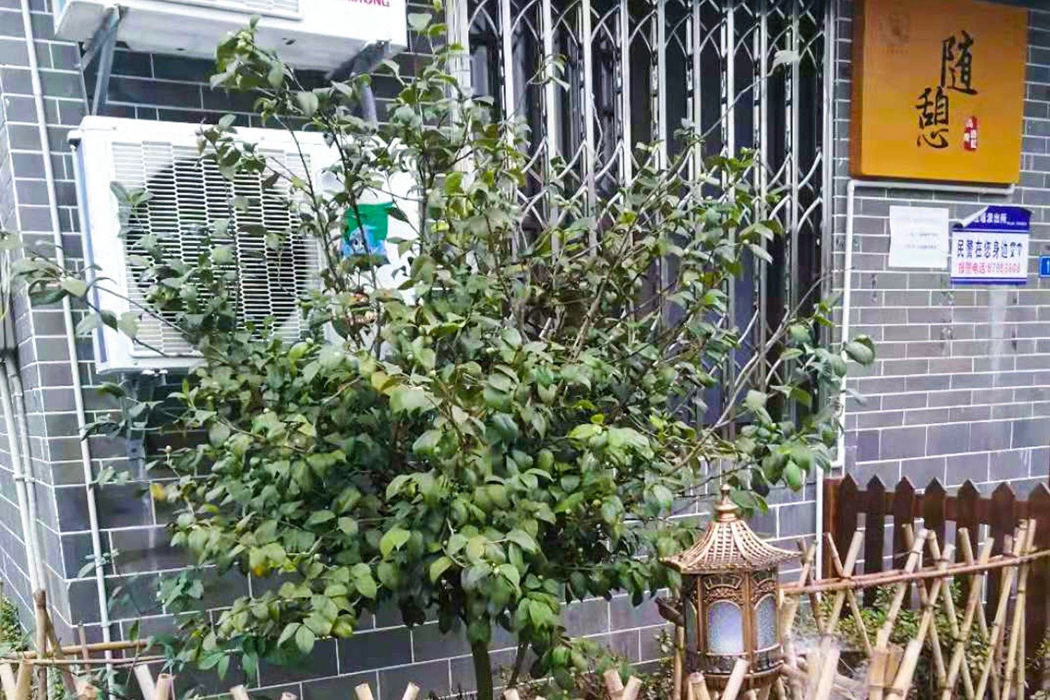其他