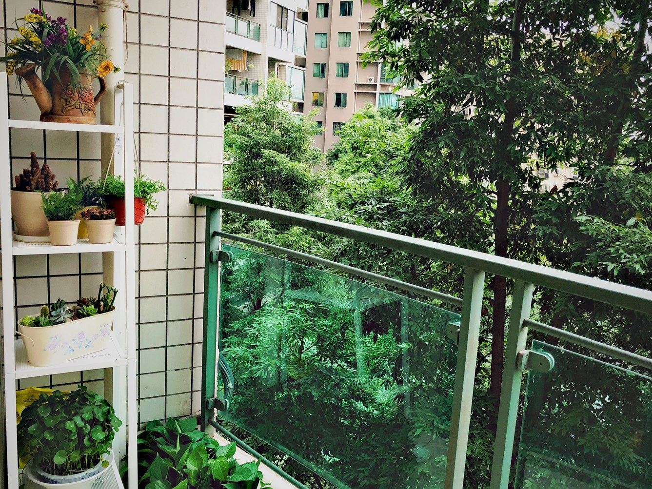成都就叫鹿鸣间小鹿吧公寓